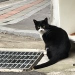 학원 다니는 애들 다 들어와<b>보</b><b>셈</b> ㅈㅂ