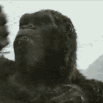 [킹덤즈] 화난 <b>킹콩</b> 짤털