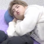 [스키즈] 잠자는 <b>쿼카</b>