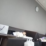 데<b>식이</b>들