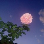[댓글부탁해] 너희 <b>유서</b> 쓰고 가주라!