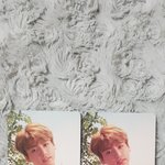 [이삐] 럽셀 허 정국이 포카 <b>진품</b>인지 확인해줘ㅠ