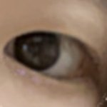[댓글부탁해] <b>이</b> 렌즈도 개<b>눈</b> 같아?