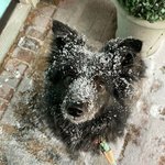 최강 한파와 <b>폭설</b>로 얼어 붙은 텍사스