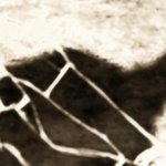 [진격의거인] ㅅㅍ <b>황혼</b>의 새에 이거 나오는데