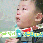 바나나 까달라고 쳐다보는 대박이