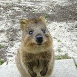 얘 <b>잼민</b>이같음