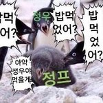[NCT즌] 이 짤 <b>진짜</b> 개욱<b>김</b> ㅠㅠㅠㅠㅠ