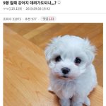 [드루와] 최애 정보? 풀고 가보쟈!!!