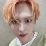 [펜타곤] <b>자몽</b>꾸 주황택