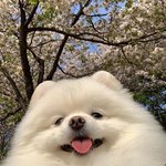 얘드라 새학기 <b>첫날</b>엔 교복임?