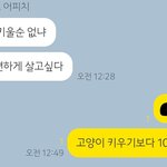 [드루와] 얘 머<b>선일</b> 있나..