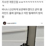 아 바나나 개웃겨