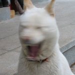 [드루와] 원래 늦게자면 머리<b>아픔</b>?