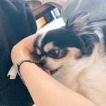 와 예<b>비중</b> 시절에 판에서 자유학기제 물어본게 엊그제 같은데