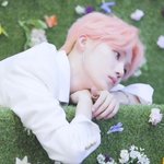 [더보이즈] 지금 결혼플?