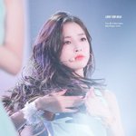 짤하나 <b>아린</b>