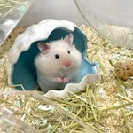 작은 <b>가슴</b> 좋아하는 남자 있냐