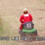 야진심으로 틱톡에 내완식남있는데 어떡해