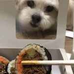 [추반] 금<b>사빠</b> vs 순정파 ㅊㅂ