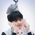 [킹덤즈] 너네 최애의 최애머리색 머야