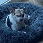 <b>빛삭</b> 얼공