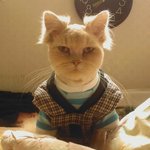 [시에<b>미즈</b>] 애미야..