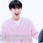 [NCT즌] 호랑이<b>인척</b>하는 강아지