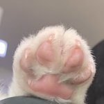 <b>젤리</b>공갹!