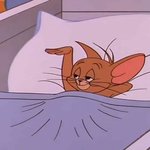 [드루와] <b>nt</b> 랑 sf 랑 안 맞음?