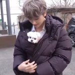 자신이 <b>이</b> <b>강아지</b>가 됐다고 생각하고 륄렉스