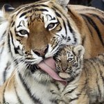 나 알<b>바에</b> 로망 그득하다..