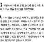 [EXO] <b>세상</b>에 카이 컬렉션 맞네