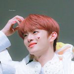 '<b>힐링</b> 맛' 만드는 요리사 아이돌