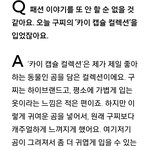 구찌 카이 컬렉션 찐<b>이네</b>