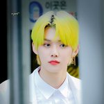 여우 혹은 고양이<b>상인</b> 남돌