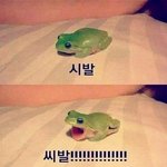 [진격의거인] 아 <b>씨</b>. 발...난 앞으로 흐린 눈 할란다