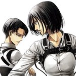 [진격의거인] 미카사 <b>개</b>부럽지않냐