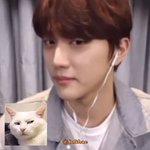 [골든차일드] 주찬이 고양이상이야 <b>여우상</b>이야?
