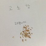 [댓글부탁해] 너네 제모 뭐로해?