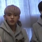 [NCT즌] 강아지고양이 <b>만도</b> 못한 인생
