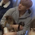 [NCT즌] 원래 고양이가 이리 <b>얌전</b>함?