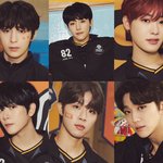 [골든차일드] 브리드 컨포가 훨 내 취향