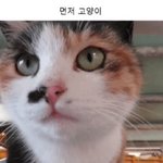 야 이 단어 뭐지???