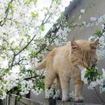 [댓글부탁해] 생기부 세특이 <b>누락</b>됐어 도와줘