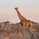 잠깐 우리 애 <b>미담</b> 좀 풀어도 돼?