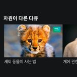 [NCT] ㅅㄷ 엥 마크 <b>영화</b>나왔었네??