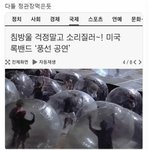 아니 진심 <b>탈판</b>하려고 했는데