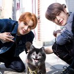 [NCT즌] 얘들아.... 제발..... 진짜 부탁이야