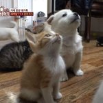 [꼭조언댓글] 친구관계 좀 판단해줘!!